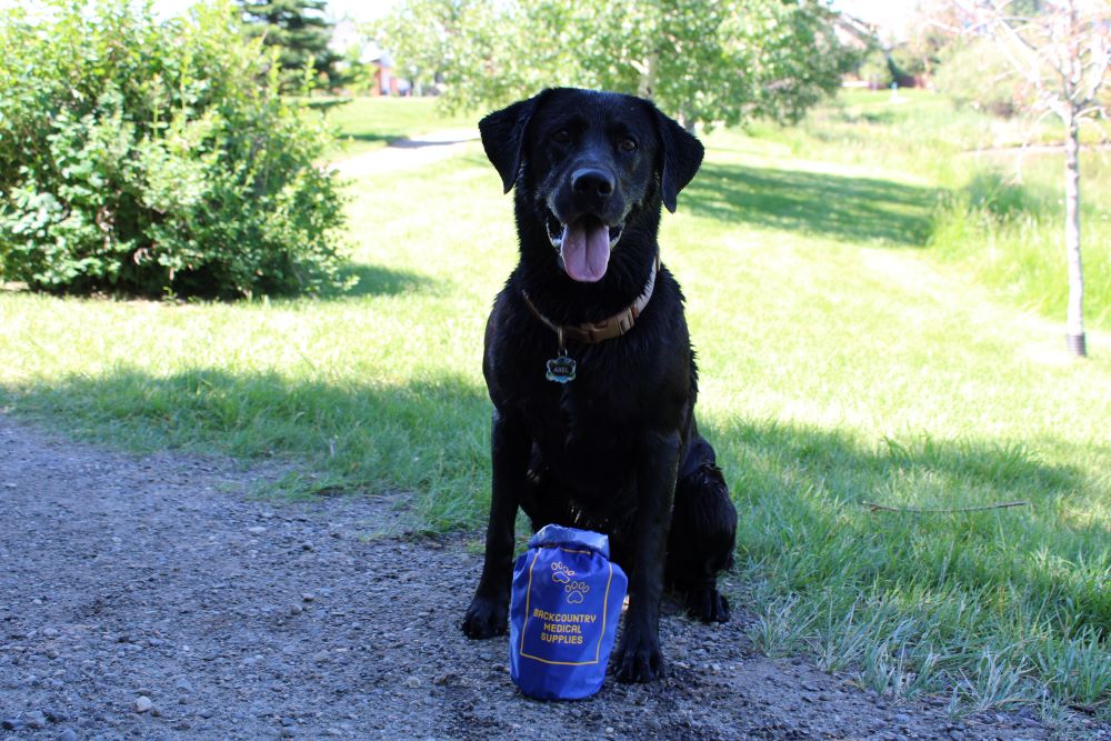 Tails on the Trail Med kit
